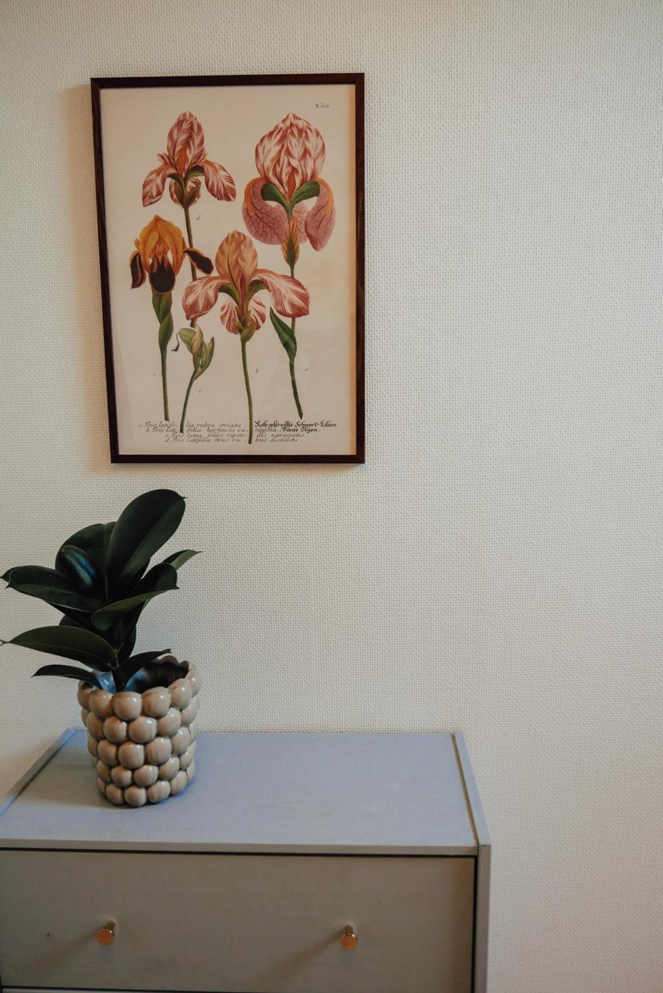Aespoegarden Bed & Breakfast Klagstorp Buitenkant foto
